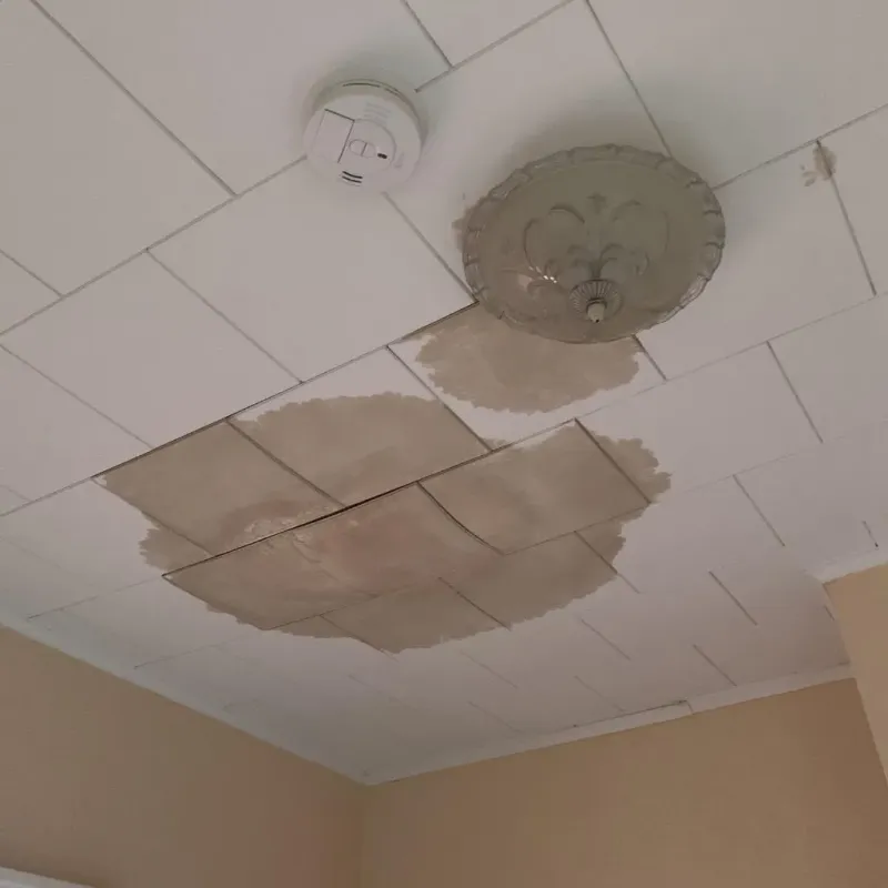 Ceiling Water Damage Repair in Paxton, MA