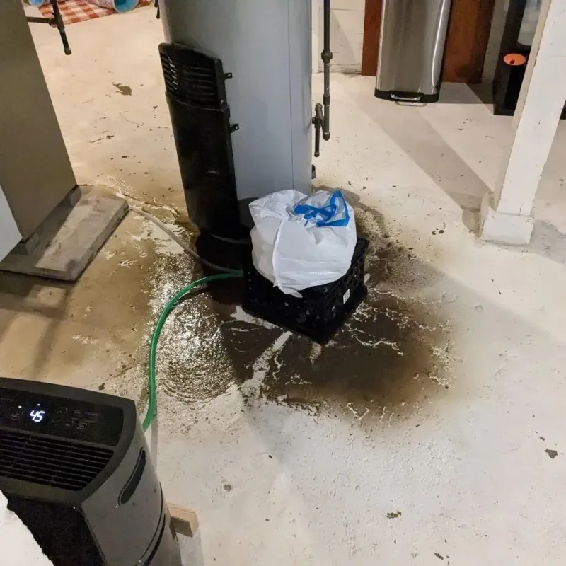 Sewage Backup Cleanup Service in Paxton, MA